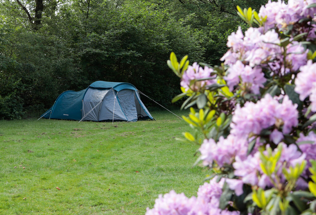 natursitencamping Steenwijk